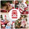 Dog Holiday Sweater view 4