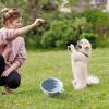 Fukamou Portable Dog Bowl view 2