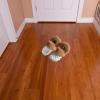 VALICLUD Plush Sheepskin Insoles for Women's Winter Clogs and Shoes view 2