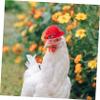 Happyyami Multifunctional Chicken Accessory Decorative Bird Hat view 2
