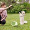 Fukamou Foldable Dog Bowl view 2