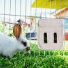 Hay Feeder Station for Rabbits view 2