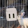 Hay Feeder Station for Rabbits view 4