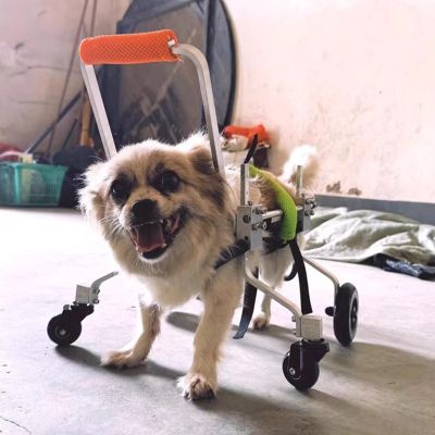 YFWOKSL Pet Wheelchair for Dogs, Adjustable 4-Wheel Aluminum Mobility Cart for Small Dogs