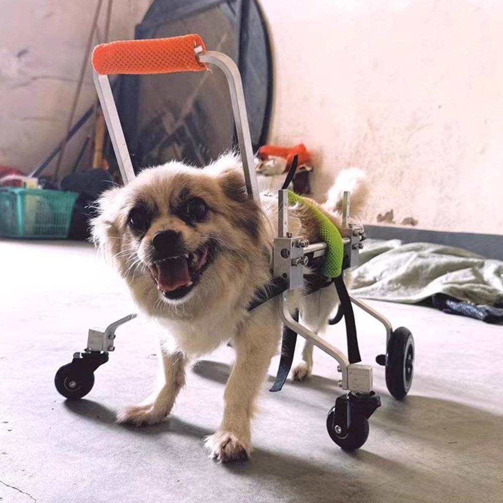 YFWOKSL Pet Wheelchair for Dogs, Adjustable 4-Wheel Aluminum Mobility Cart for Small Dogs