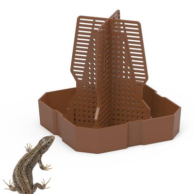 DONGKER Reptile Insect Feeding Bowl with Climbing Function