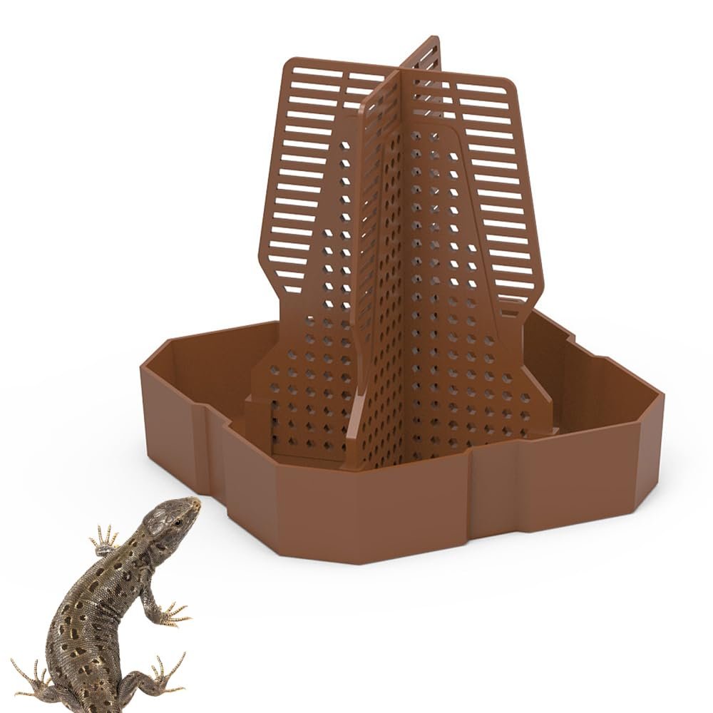 DONGKER Reptile Insect Feeding Bowl with Climbing Function