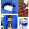 FANSU Inflatable Recovery Collar for Dogs and Cats, Adjustable, Comfortable Protective Cone, L, Blue view 4