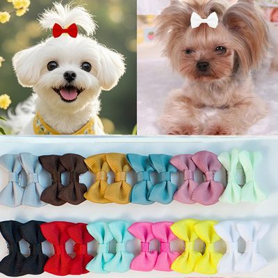 Cuhair Hair Bows for Dogs, Small, Handmade