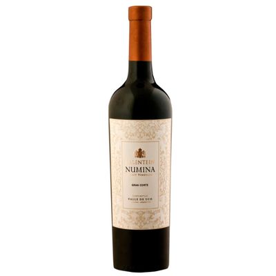 Bodegas Salentein Numina Gran Corte Dry Red Wine, Argentina, incl. FeinWert E-Book (1 x 0.75 L)