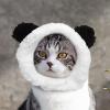 Cat Costume Beanie, Warm Adjustable Cat Hat view 2