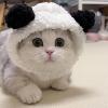 Cat Costume Beanie, Warm Adjustable Cat Hat view 3