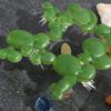 Milisten 36 Pcs Artificial Water Lettuce view 4