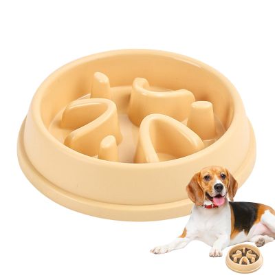 Large Slow Feeder Dog Bowl