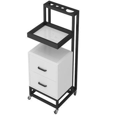 Metal Salon Trolley with 2 Drawers and Instrument Tray on Wheels