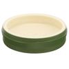 Plastic Reptile Feeding Bowl for Turtles and Lizards view 1