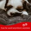 eBoutik Fluffy Winter Pet Blanket for Dogs and Cats, 100 x 140 cm, Soft, Warm, Machine Washable, Red view 3
