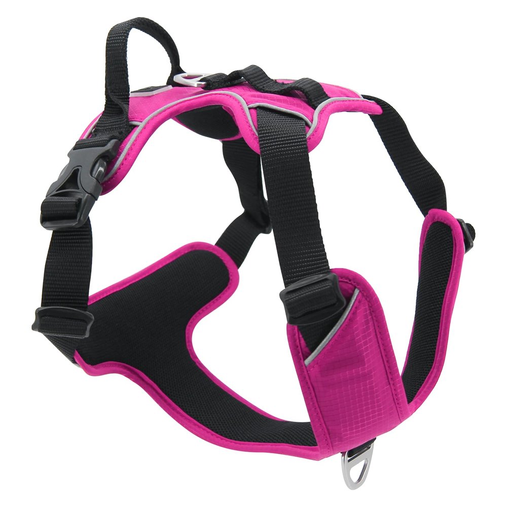 JACK AND VANILLA EXPEDITION Harness for Small Animals, Fuchsia, XS