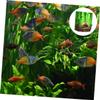 3D Resin Aquarium Cave with Hideout Design view 3