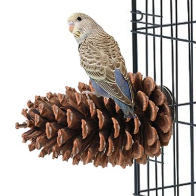 Naqqios Pine Cone Bird Perch Stand