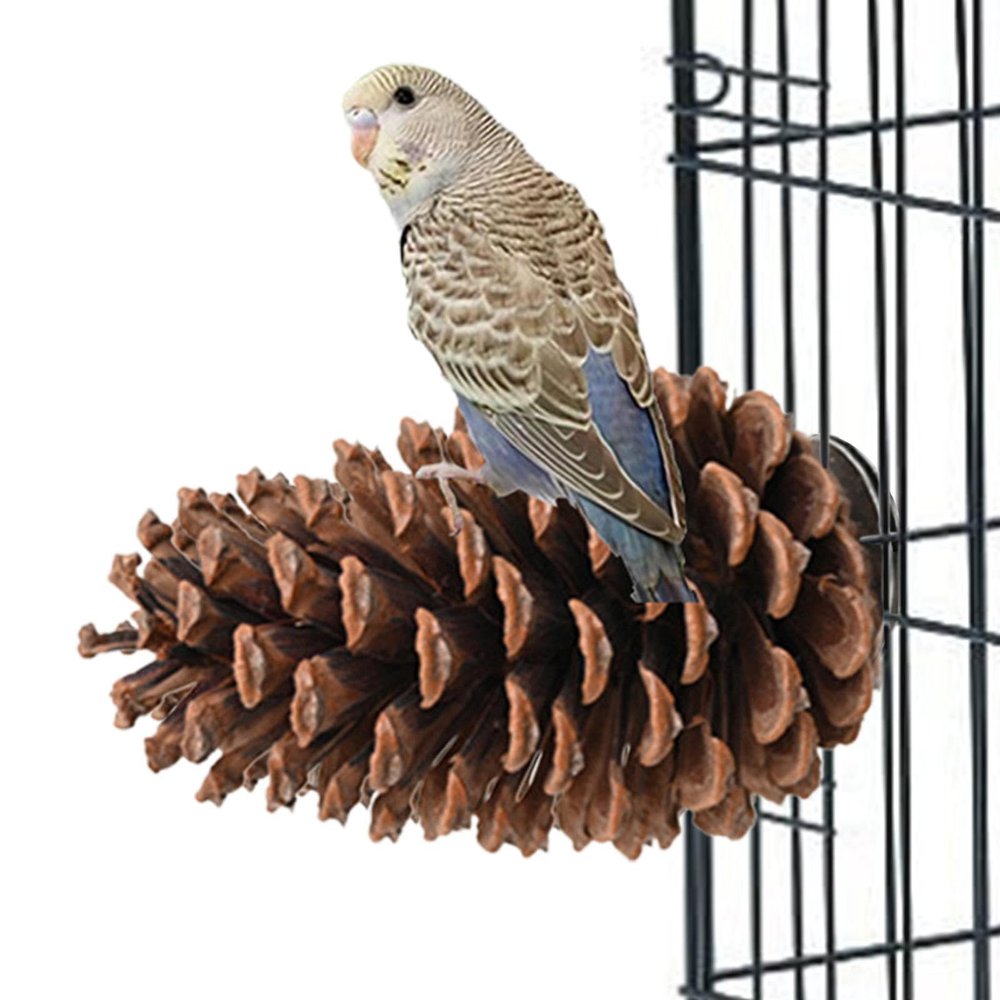 Naqqios Pine Cone Bird Perch Stand