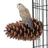 Naqqios Pine Cone Bird Perch Stand view 1