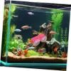 Happyyami Betta Fish Tunnel view 2