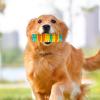 Flexible Caterpillar Dog Chew Toy for Teething Puppies view 2