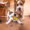 Flexible Caterpillar Dog Chew Toy for Teething Puppies view 3