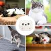 Interactive Cartoon Squeaky Dog Toy view 4