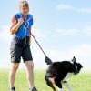 Portable Flirt Pole for Small Dogs view 2