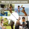Portable Flirt Pole for Small Dogs view 4