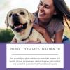 Niesel Pet Toothbrush Stick with Oral Refresh Gel view 4