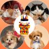 Christmas Sweater and Hat Set for Small Dogs and Cats view 3