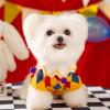 Christmas Sweater and Hat Set for Small Dogs and Cats view 4