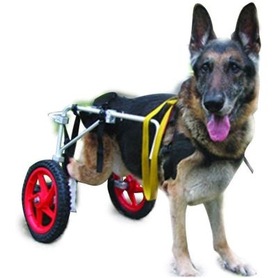2-Wheel Rear-Leg Wheelchair, Adjustable Portable Dog Wheelchair for Large Dogs with Paralysis or Disabilities