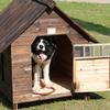 Outdoor Wooden Dog House, Weatherproof, XL view 3
