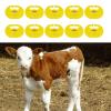 Effective Cattle Management with 10 Calf Nose Rings for Farmers view 2