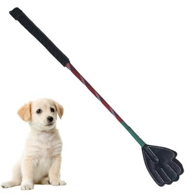Dog Training Target Stick, Portable Flirt Pole for Puppies