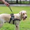 Dog Waste Bag Dispenser view 3