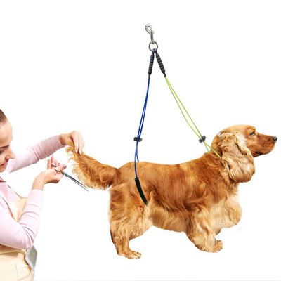 SustVita Pet Care Loop No. 1