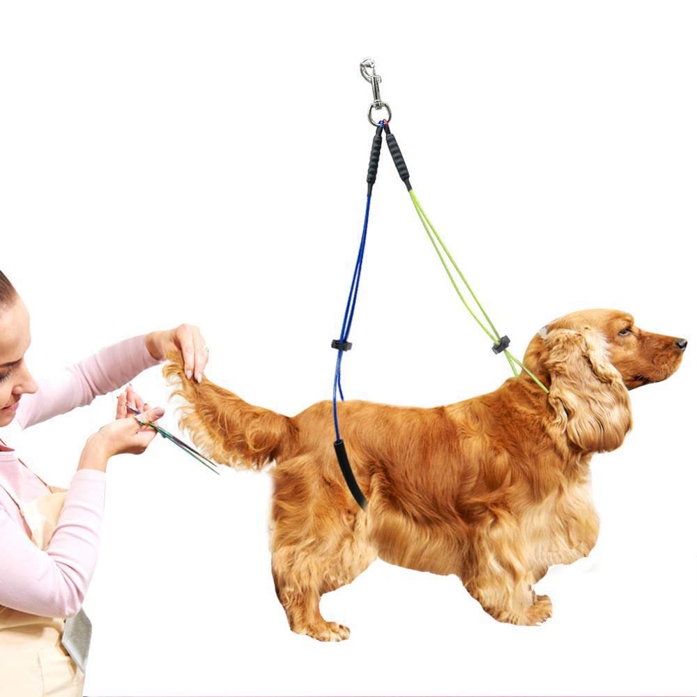 SustVita Pet Care Loop No. 1