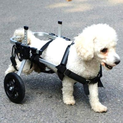 GJUOFFKO Adjustable Supportive Rear-Leg Dog Wheelchair