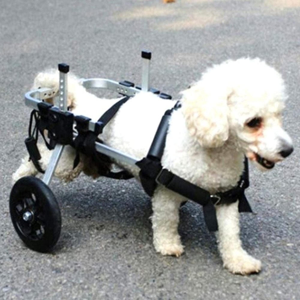 GJUOFFKO Adjustable Supportive Rear-Leg Dog Wheelchair