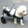 GJUOFFKO Adjustable Supportive Rear-Leg Dog Wheelchair view 1