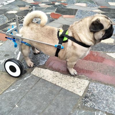 GJUOFFKO Dog Wheelchair for Small to Medium Dogs
