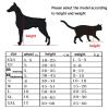 GJUOFFKO Dog Wheelchair for Small to Medium Dogs view 2