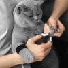 Ruwshuuk Cat Nail Protection Booties view 2