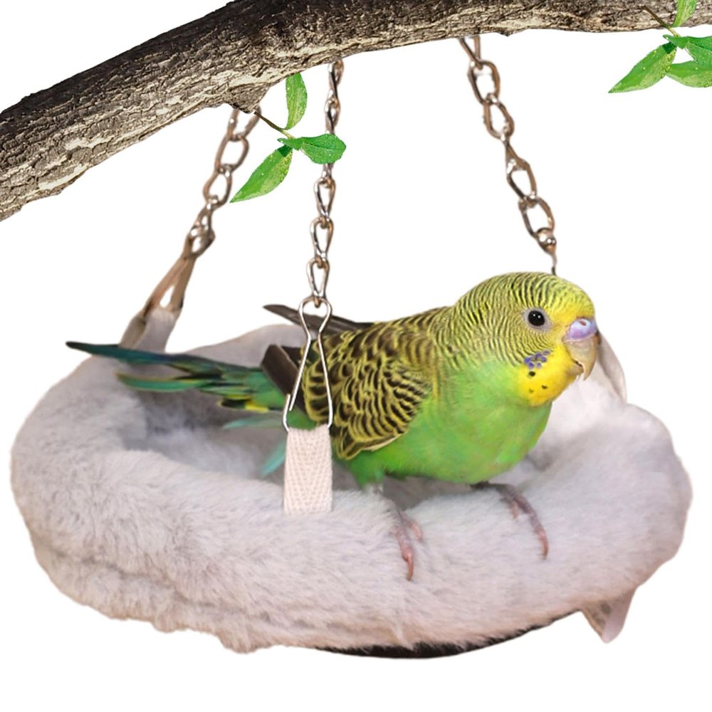 Bird Bed for Parrots