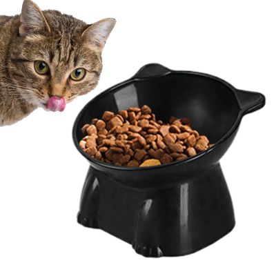 Elevated Cat Bowl with Stand